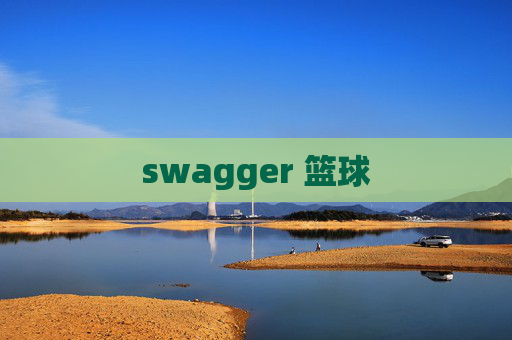 swagger 篮球 swagger 篮球